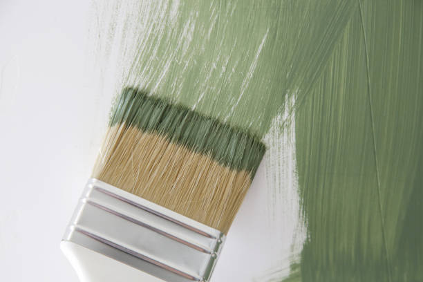 Best Mold Documentation for Insurance Claims  in Lake Wylie, SC