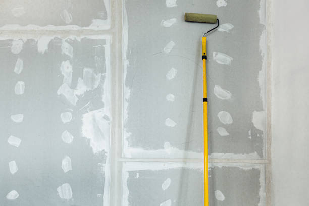 Biohazard Mold Removal in Lake Wylie, SC
