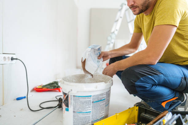 Best Attic Mold Removal  in Lake Wylie, SC