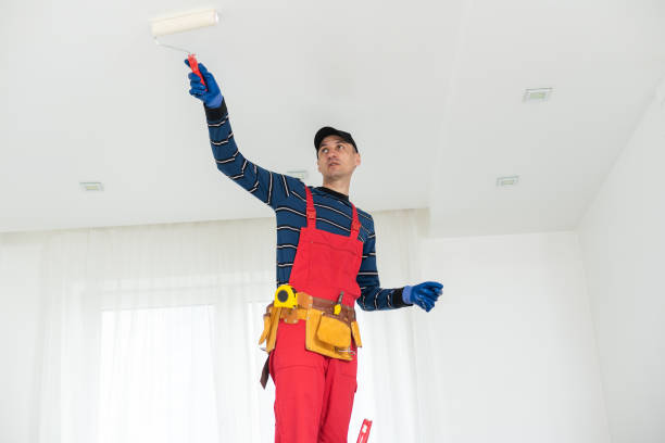 Best Real Estate Mold Inspection  in Lake Wylie, SC