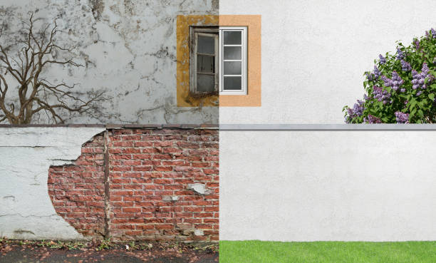 Best Emergency Mold Remediation  in Lake Wylie, SC