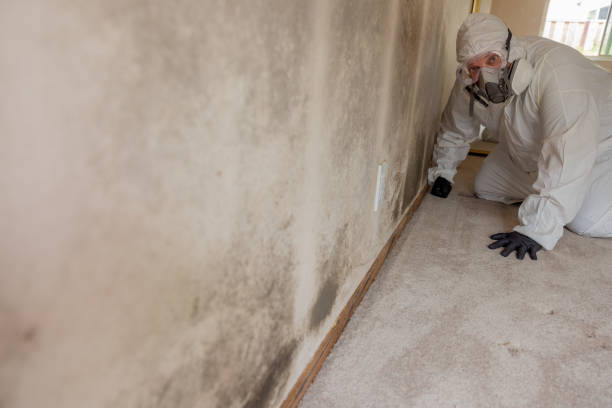 Best Airborne Mold Testing  in Lake Wylie, SC